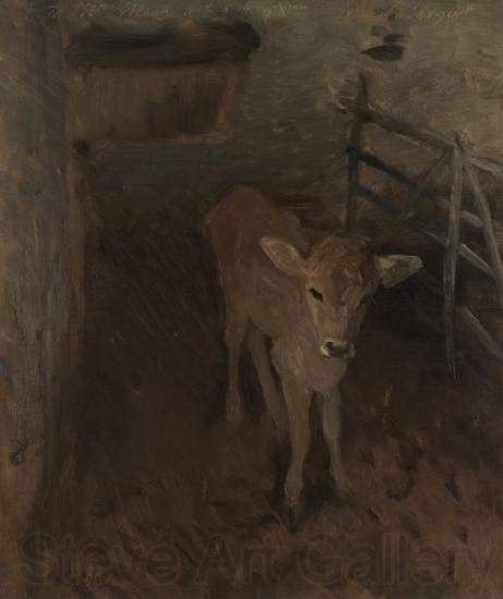 John Singer Sargent A Jersey Calf Spain oil painting art